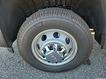 New 2025 GMC Sierra 3500 Pro Regular Cab 4WD 60 CA Cab Chassis for sale #5GM35039 - photo 12