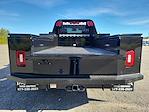 New 2025 GMC Sierra 3500 Pro Regular Cab 4WD 60 CA Cab Chassis for sale #5GM35039 - photo 16