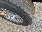 2024 Ford F-350 Crew Cab SRW 4x4 Pickup for sale #188767A - photo 8