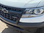 2019 Chevrolet Colorado Crew Cab 4WD Pickup for sale #250952C - photo 6