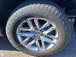 2022 GMC Sierra 1500 Crew Cab 4WD Pickup for sale #257480A - photo 6