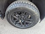 2023 Chevrolet Silverado 1500 Crew Cab 4WD Pickup for sale #261048A - photo 3