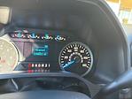 2017 Ford F-150 SuperCrew Cab 4x4 Pickup for sale #266216B - photo 3