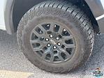 2023 Chevrolet Colorado Crew Cab 4WD Pickup for sale #251457A - photo 10