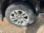 2023 Chevrolet Silverado 1500 Crew Cab 4WD Pickup for sale #251914A - photo 6