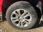 2024 Chevrolet Silverado 1500 Crew Cab 4WD Pickup for sale #252733A - photo 6