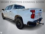2024 Chevrolet Silverado 1500 Crew Cab 4WD Pickup for sale #252784B - photo 3