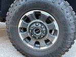 2024 Ford F-250 Crew Cab 4x4 Pickup for sale #256254A - photo 6
