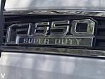 2023 Ford F-650 Regular Cab DRW 4x2 Cab Chassis for sale #257087A - photo 8