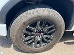 2020 GMC Sierra 1500 Crew Cab 4WD Pickup for sale #257484B - photo 6