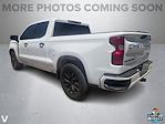 2024 Chevrolet Silverado 1500 Crew Cab RWD Pickup for sale #257643A - photo 3