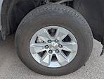 Used 2024 Chevrolet Silverado 1500 LT Crew Cab for sale #261111A - photo 10