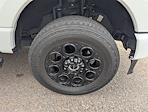 2024 Ford F-250 Crew Cab 4x4 Pickup for sale #261206A - photo 6