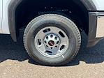 2025 GMC Sierra 2500 Crew Cab 2WD Cab Chassis for sale #F257259 - photo 10