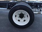 New 2024 Chevrolet LCF 5500HG Crew Cab Cab Chassis for sale #249189 - photo 13