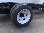 New 2024 Chevrolet LCF 5500HG Crew Cab Cab Chassis for sale #249269 - photo 6