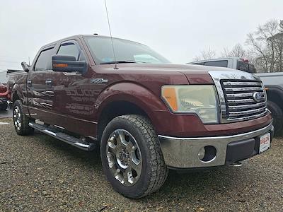 Used 2010 Ford F-150 - photo 1