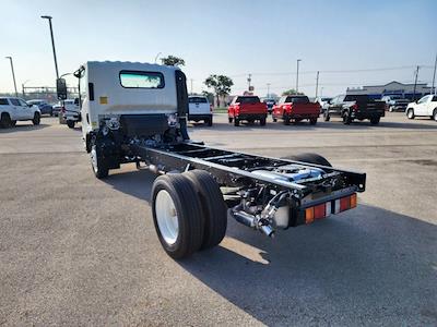 New 2025 Chevrolet LCF 5500HG Work Truck Regular Cab Cab Chassis for sale #254001 - photo 2