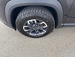 2025 Chevrolet Equinox FWD SUV for sale #254514 - photo 6