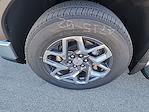 New 2025 GMC Sierra 1500 SLT Crew Cab 4WD Pickup for sale #G254072 - photo 6