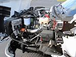 New 2024 Chevrolet Silverado 5500 Regular Cab Dump Truck for sale #CP39776 - photo 21