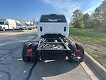 New 2024 Chevrolet Silverado 5500 Crew Cab Cab Chassis for sale #CP42223 - photo 6