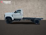 2024 Chevrolet Silverado 5500 Regular Cab DRW 4WD Cab Chassis for sale #CP42344 - photo 1