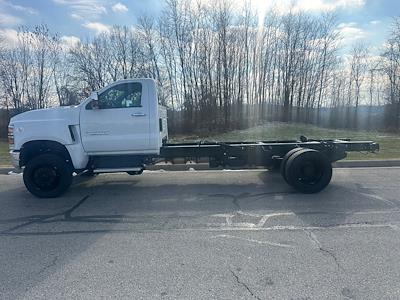 2024 Chevrolet Silverado 5500 Regular Cab DRW 4WD Cab Chassis for sale #CP42355 - photo 1