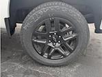 2025 Chevrolet Silverado 1500 Crew Cab 4WD Pickup for sale #N29229 - photo 24