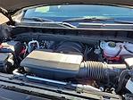 2024 Chevrolet Silverado 1500 Crew Cab 4WD Pickup for sale #24T507 - photo 13