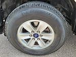 2016 Ford F-150 Regular Cab RWD Pickup for sale #24T507B - photo 14