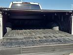 2024 Ford F-450 Crew Cab DRW 4x4 Pickup for sale #25G226A - photo 15