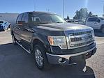 Used 2014 Ford F-150 XL SuperCrew Cab for sale #26G177B - photo 6