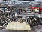 2022 Ford F-150 Regular Cab 4x4 Pickup for sale #P25123 - photo 13