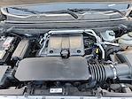 2024 Chevrolet Colorado Crew Cab 4WD Pickup for sale #P25273 - photo 13