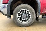 2024 GMC Sierra 2500 Regular Cab 4WD Pickup for sale #F10883A - photo 4
