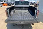 New 2025 GMC Sierra 2500 AT4 Crew Cab 4x4 Pickup for sale #F11691 - photo 4
