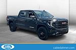 New 2025 GMC Sierra 1500 Pro Crew Cab 4x4 Pickup for sale #F11767 - photo 1