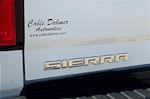 2019 GMC Sierra 2500 Crew Cab SRW 4WD Pickup for sale #F11895A - photo 31