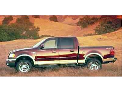 Used 2002 Ford F-150 - photo 1