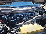 2024 Ford F-150 SuperCrew Cab 4x4 Pickup for sale #RKF10992 - photo 23
