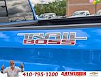 2025 Chevrolet Silverado 1500 Crew Cab 4x4 Pickup for sale #9848T - photo 8