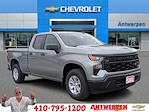 2025 Chevrolet Silverado 1500 Double Cab 4x4 Pickup for sale #9852T - photo 1