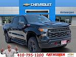 2025 Chevrolet Silverado 1500 Crew Cab 4x4 Pickup for sale #9891T - photo 1