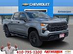 2025 Chevrolet Silverado 1500 Crew Cab 4x4 Pickup for sale #9908T - photo 1