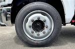 New 2024 Chevrolet Silverado 6500 Work Truck Regular Cab Cab Chassis for sale #245166 - photo 11