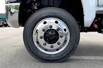 New 2024 Chevrolet Silverado 5500 Work Truck Regular Cab 4WD Cab Chassis for sale #245217 - photo 11