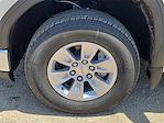 2026 GMC Sierra 1500 Crew Cab 4x2 Pickup for sale #5624625 - photo 7