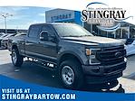 2020 Ford F-250 Crew Cab 4x4 Pickup for sale #LEE00929 - photo 1