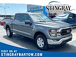 2023 Ford F-150 SuperCrew Cab 4x4 Pickup for sale #PFA27184 - photo 1
